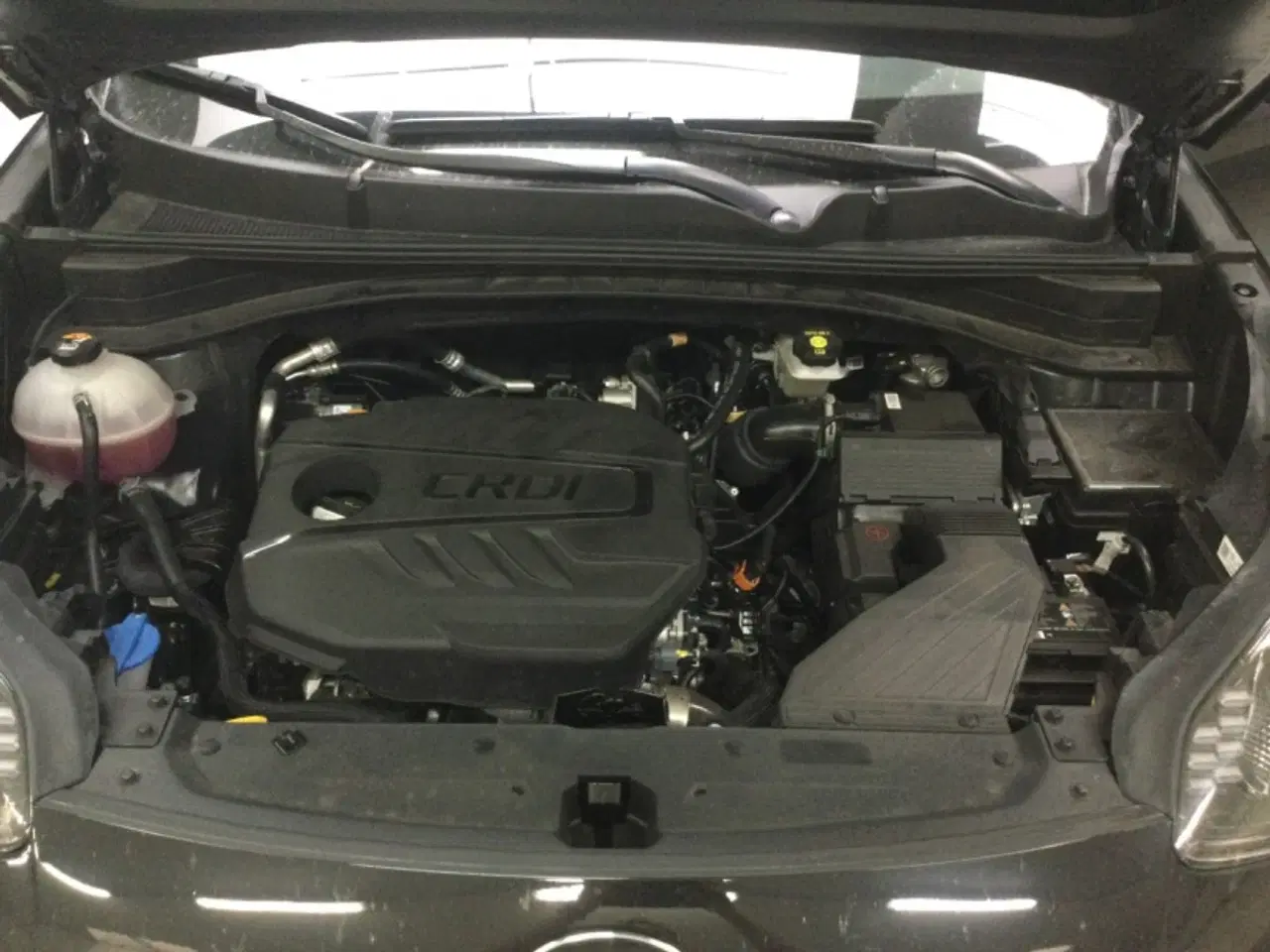 Billede 9 - 2021 Kia Sportage 1.6 CRDi Mild-Hybrid GT Line