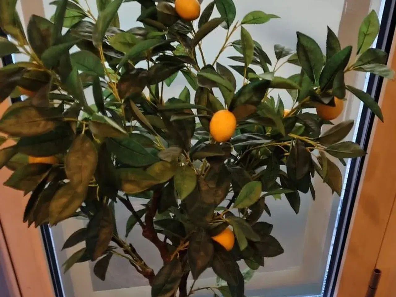 Billede 2 - Kunstig citrusplante.