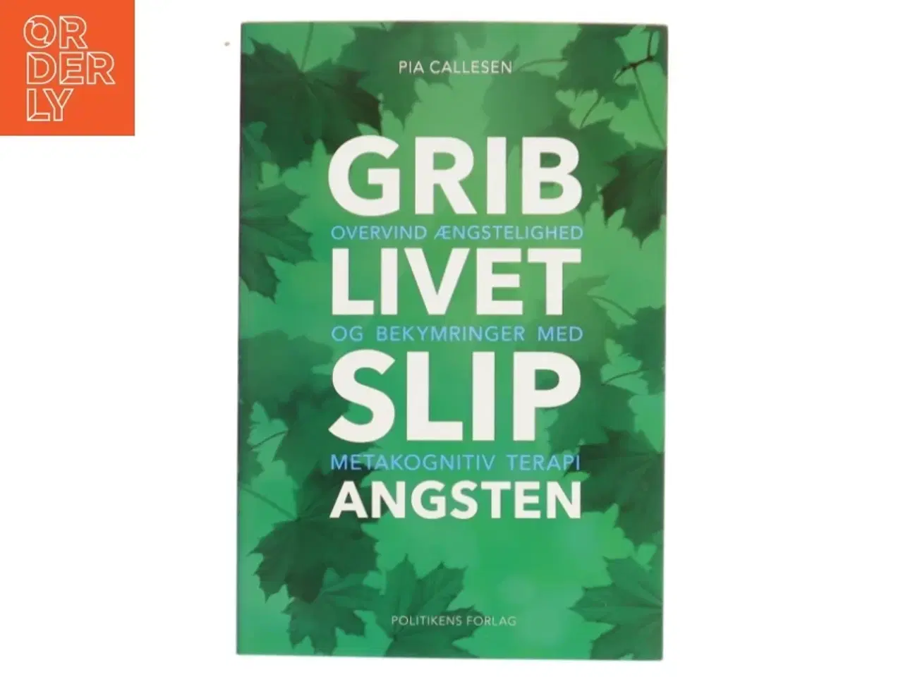 Billede 1 - Grib livet - slip angsten : overvind ængstelighed og bekymringer med metakognitiv terapi af Pia Callesen (Bog)