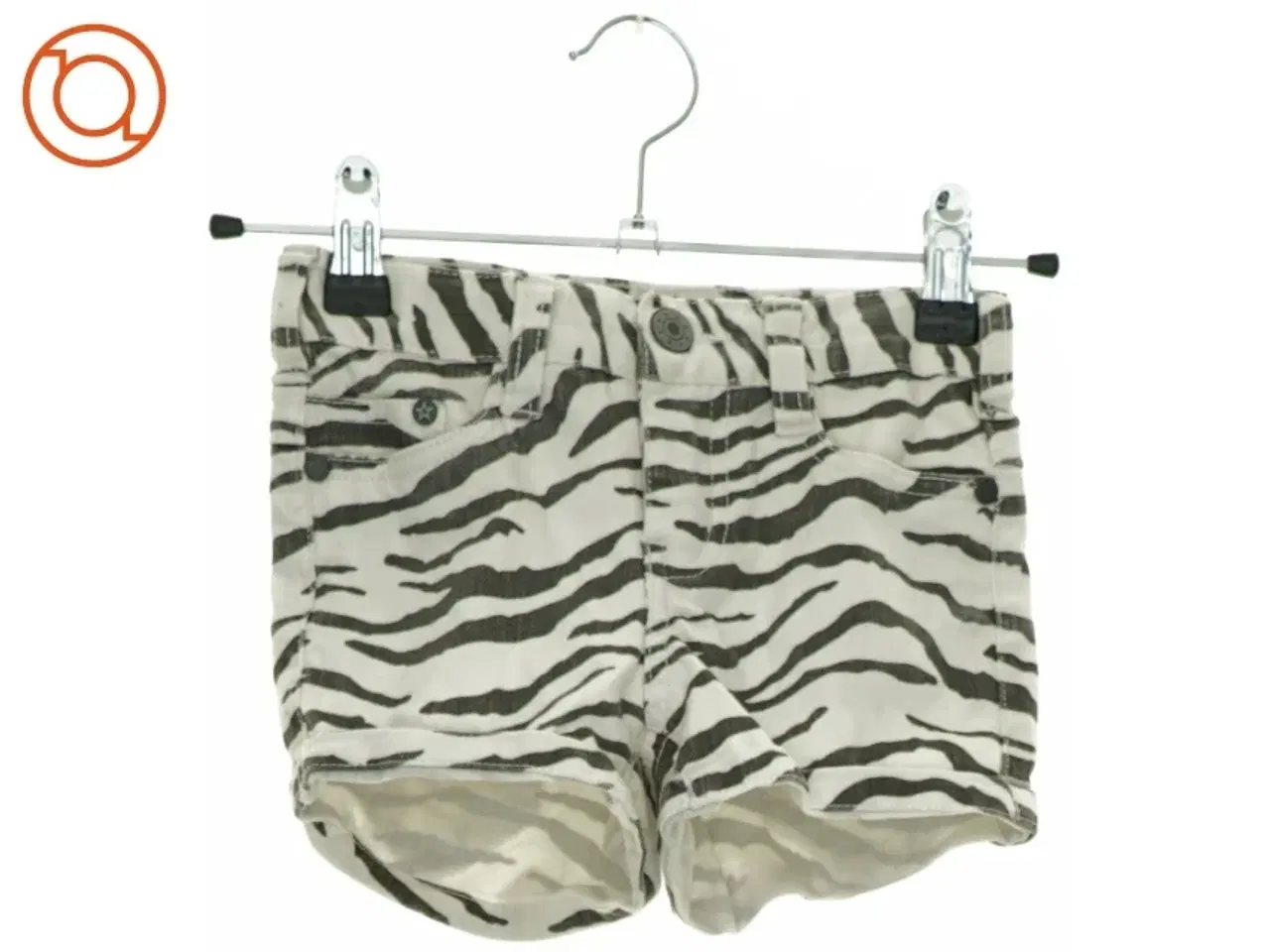 Billede 2 - Shorts fra Molo (NUM) (str. 110 cm)