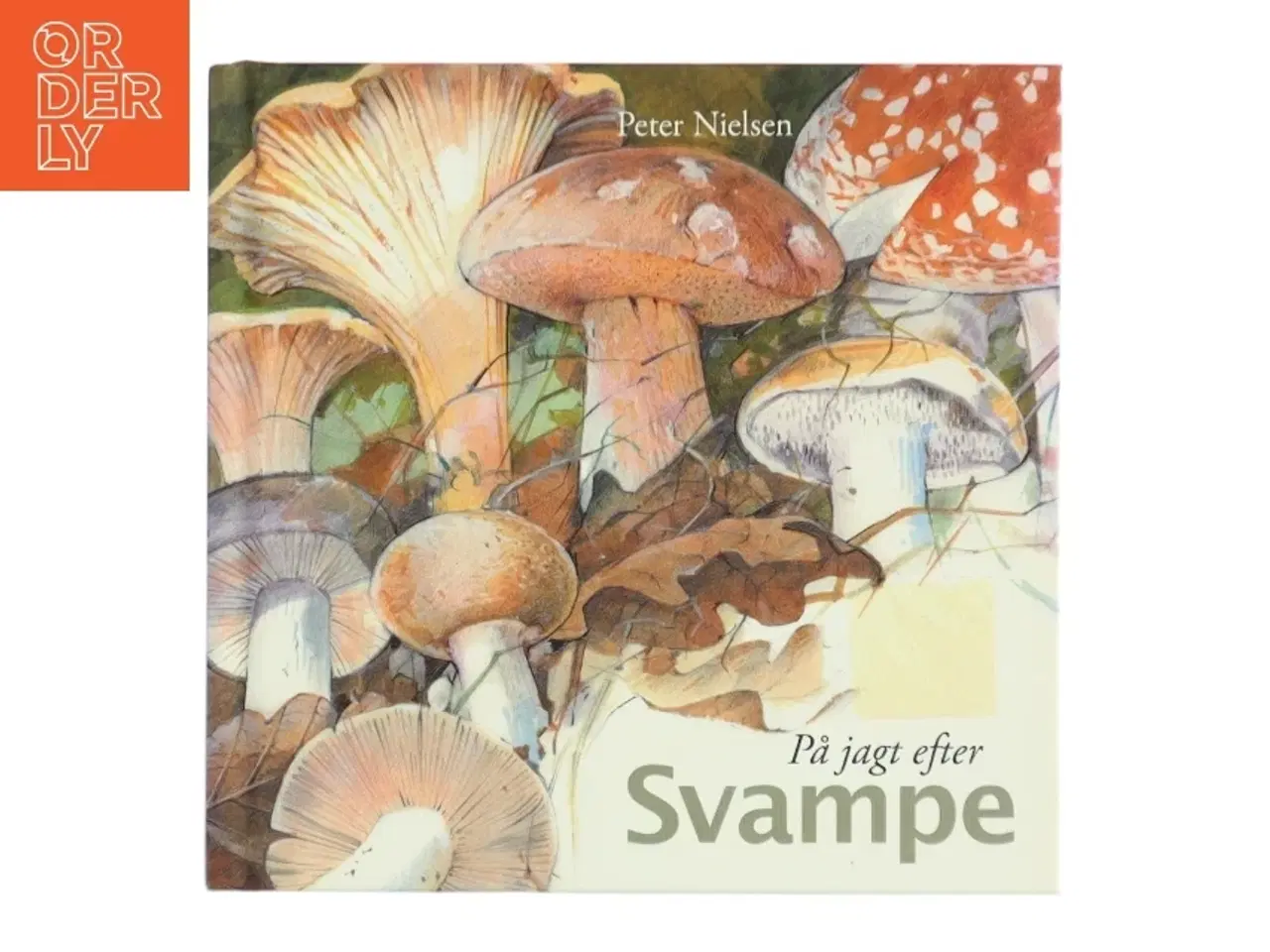 Billede 1 - På jagt efter svampe af Peter Nielsen (f. 1946-05-08) (Bog)