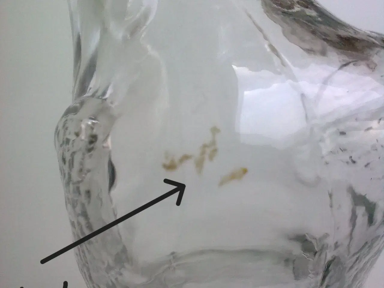 Billede 11 - Snapsehund karaffel glaskande hund Sverige