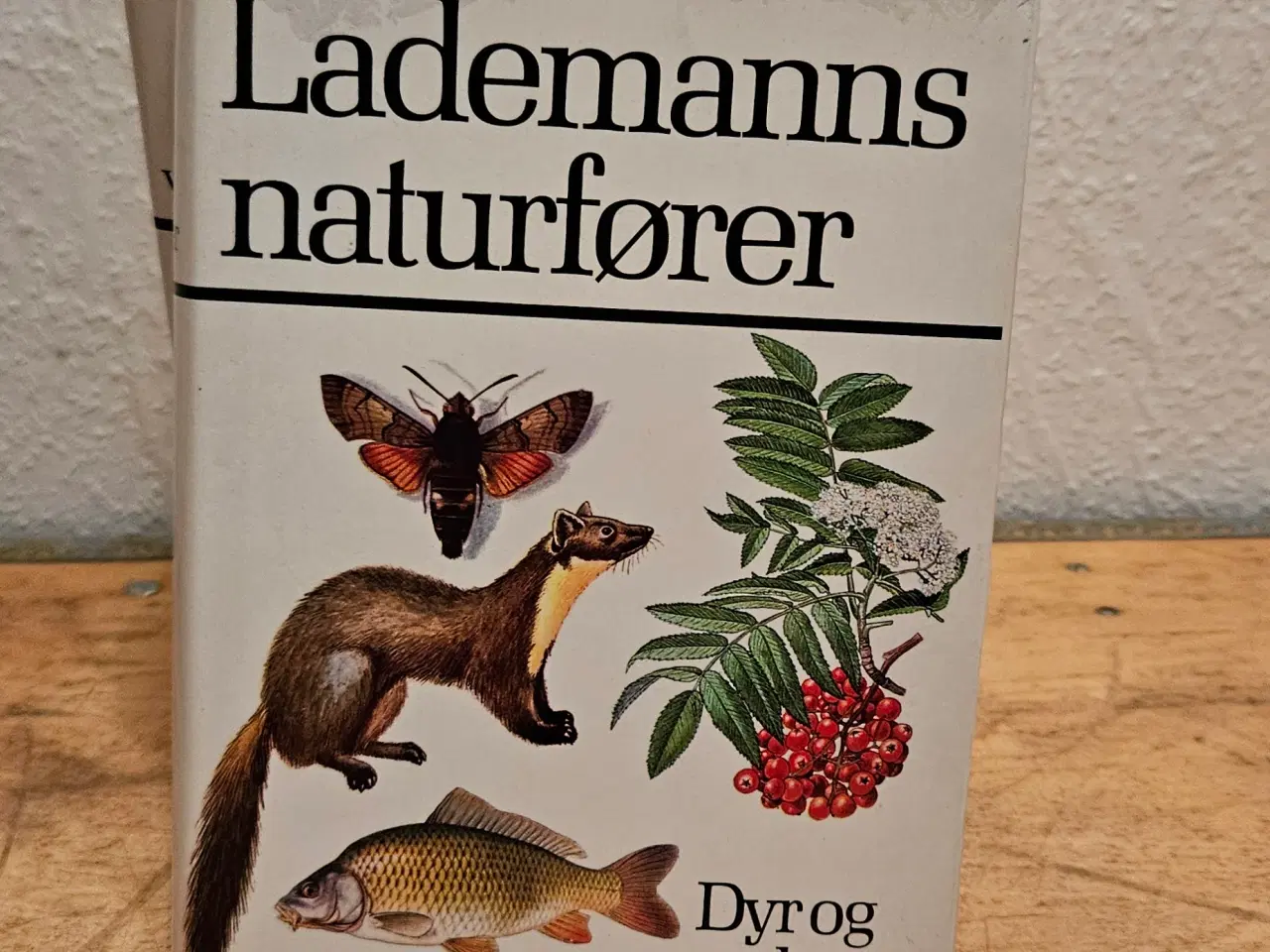 Billede 1 - Bøger om natur og dyr