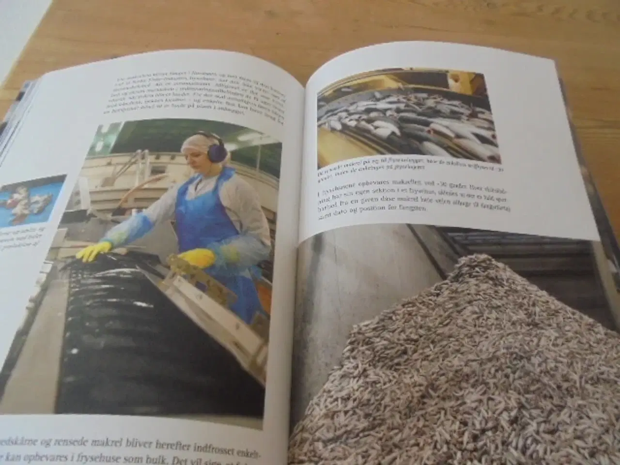 Billede 8 - Historien om A/S Sæby Fiske-Industri