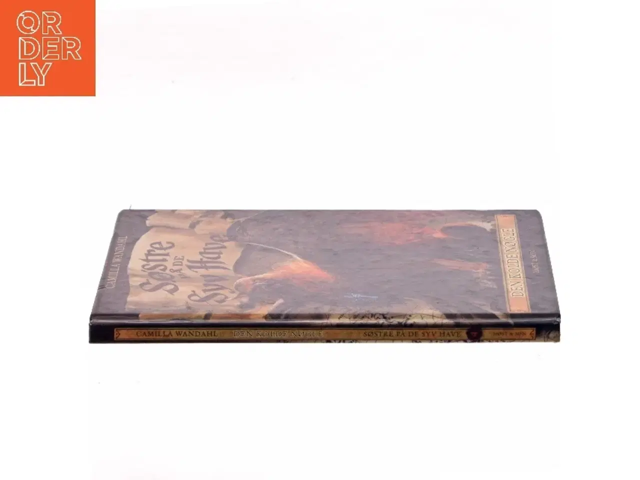 Billede 2 - Den kolde nøgle af Camilla Wandahl (Bog)