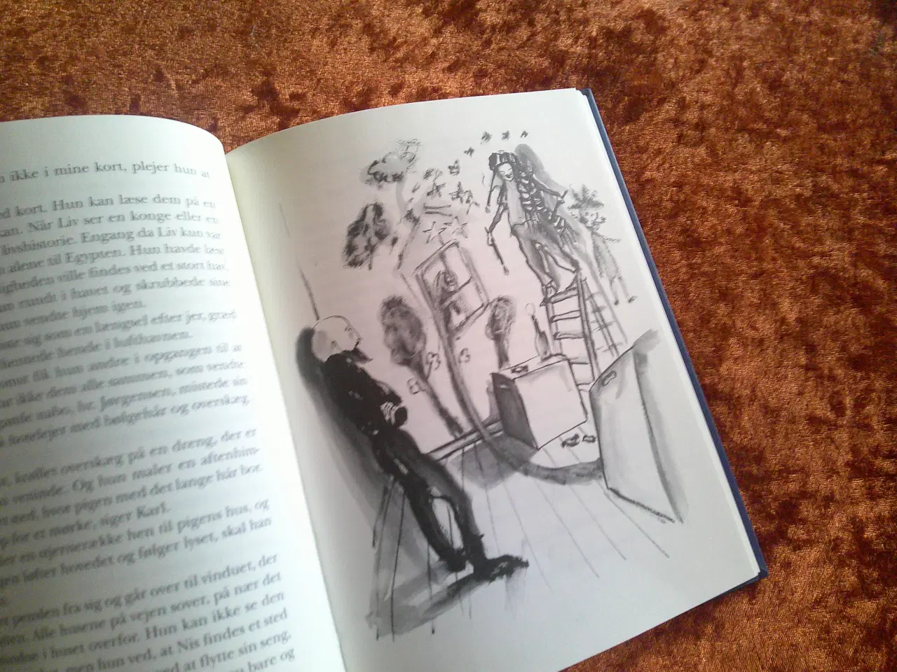 Billede 2 - Den sovende sangerinde, Kamilla Hega Holst