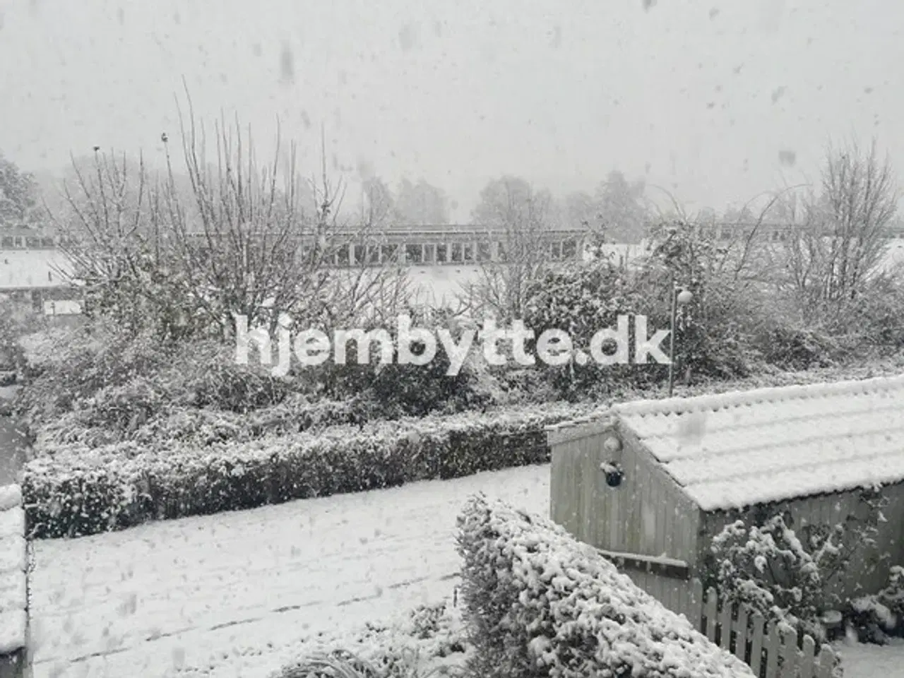 Billede 7 - Hjembytte - Dalskrænten