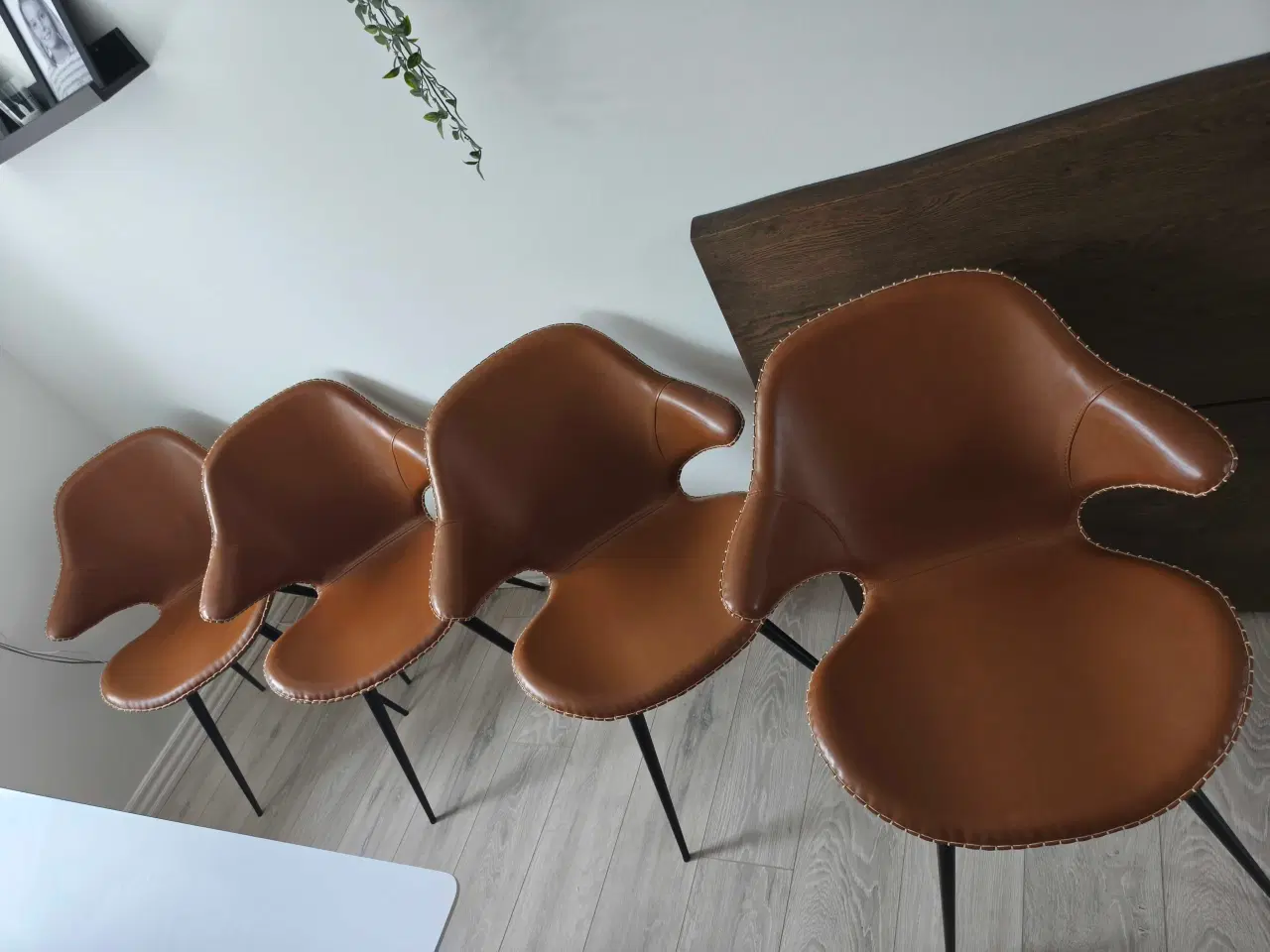 Billede 6 - Ilva Mallorca spisebord 