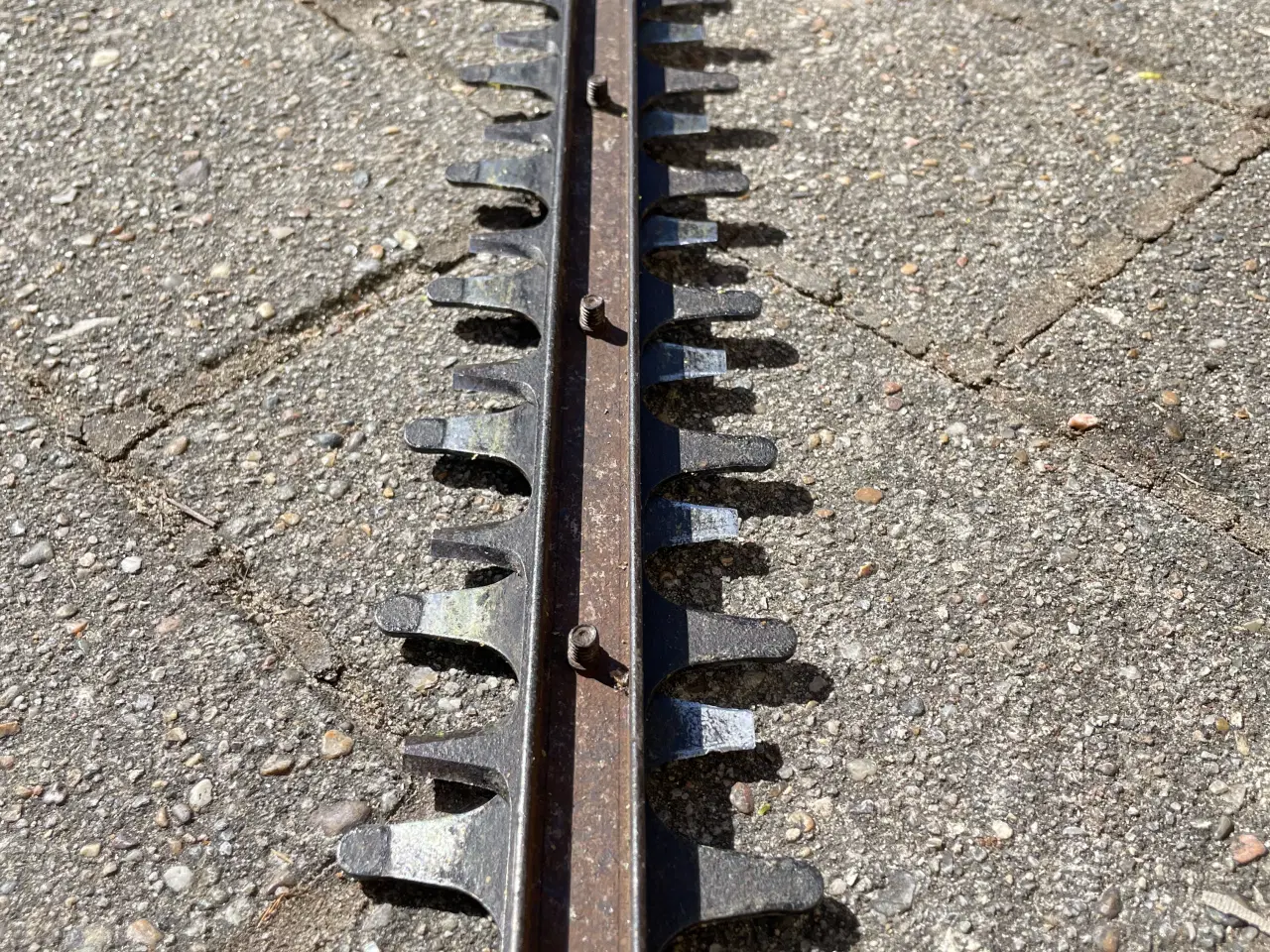 Billede 3 - Elektrisk hækkeklipper fra Bosch.