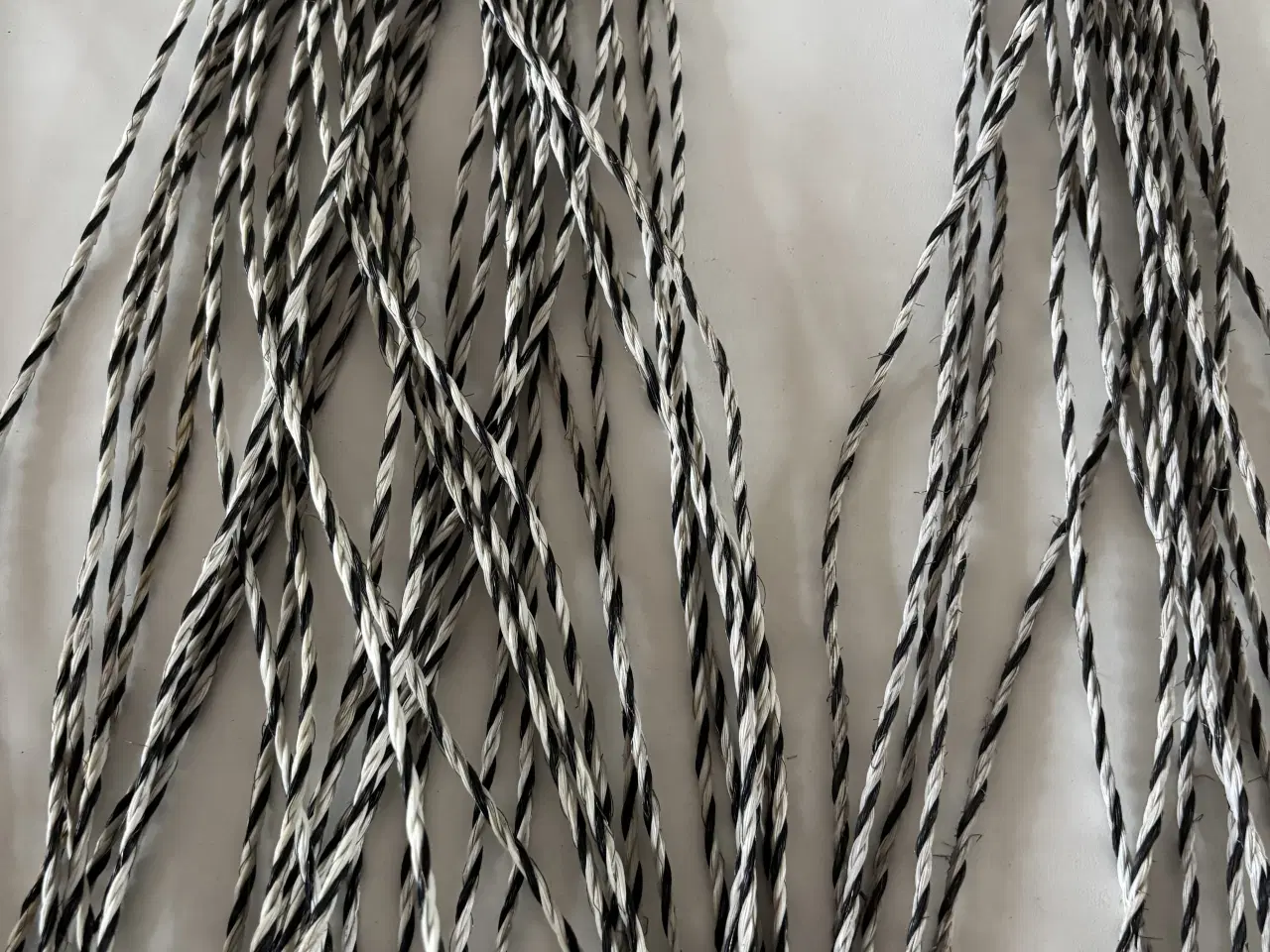 Billede 3 - Snore i sort/hvid