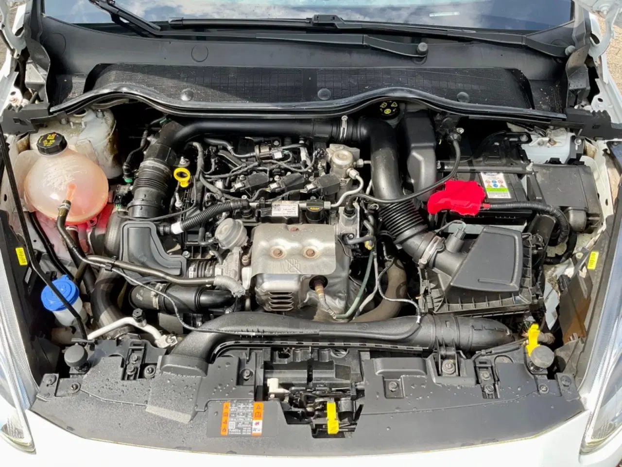 Billede 16 - Ford Fiesta 1,0 EcoBoost Titanium