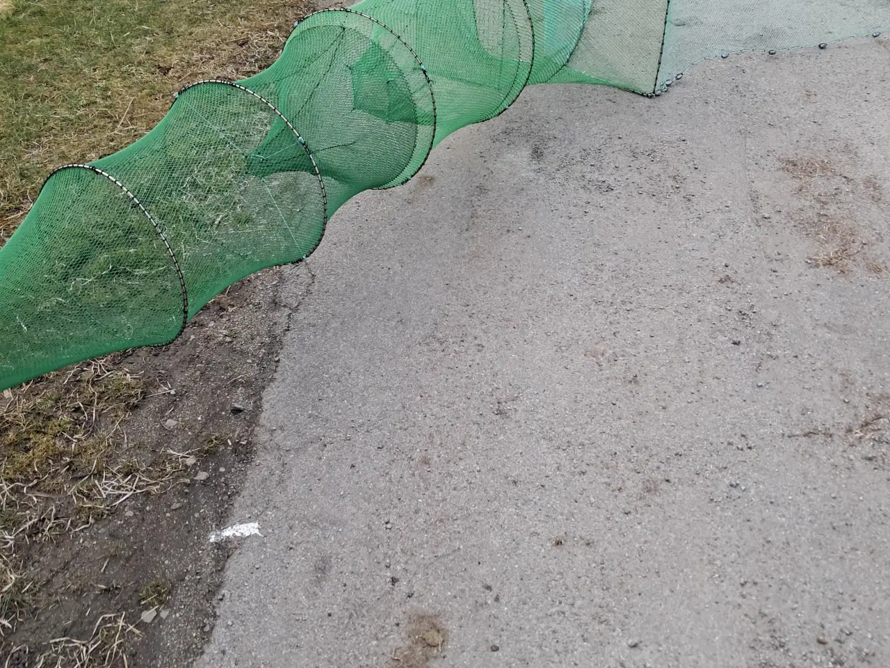 Billede 1 - Rejeruser 