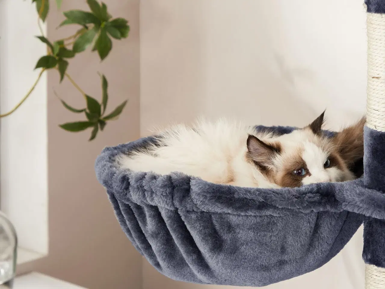 Billede 5 - Klatretræ til kat – FEANDREA 206 cm, stort kattetræ med 13 kradsepæle, rampe, 2 udsigtsplatforme, 2 huler, kurv og hængekøje – røggrå