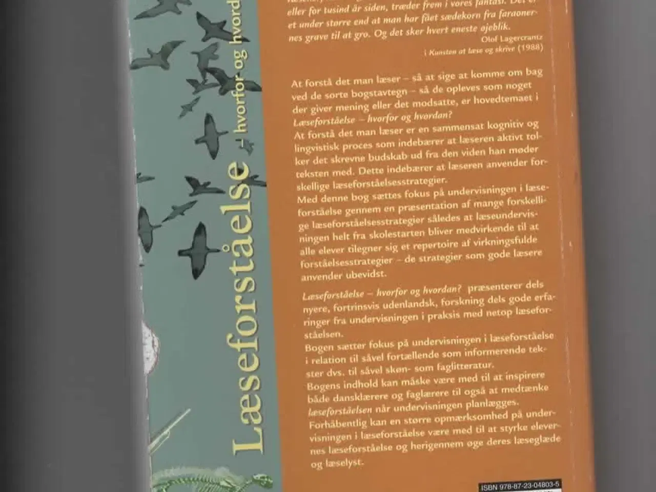 Billede 2 - læseforståelse