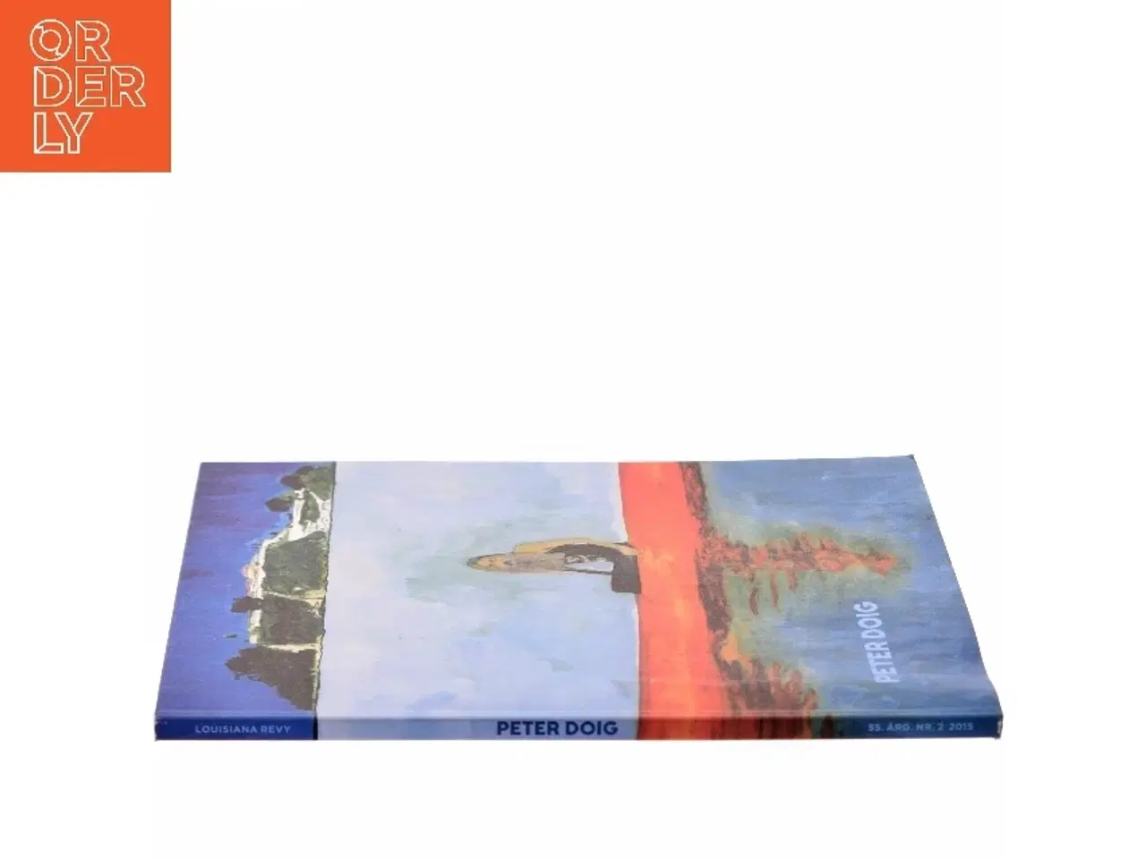 Billede 2 - Peter Doig af Peter Doig (Bog)