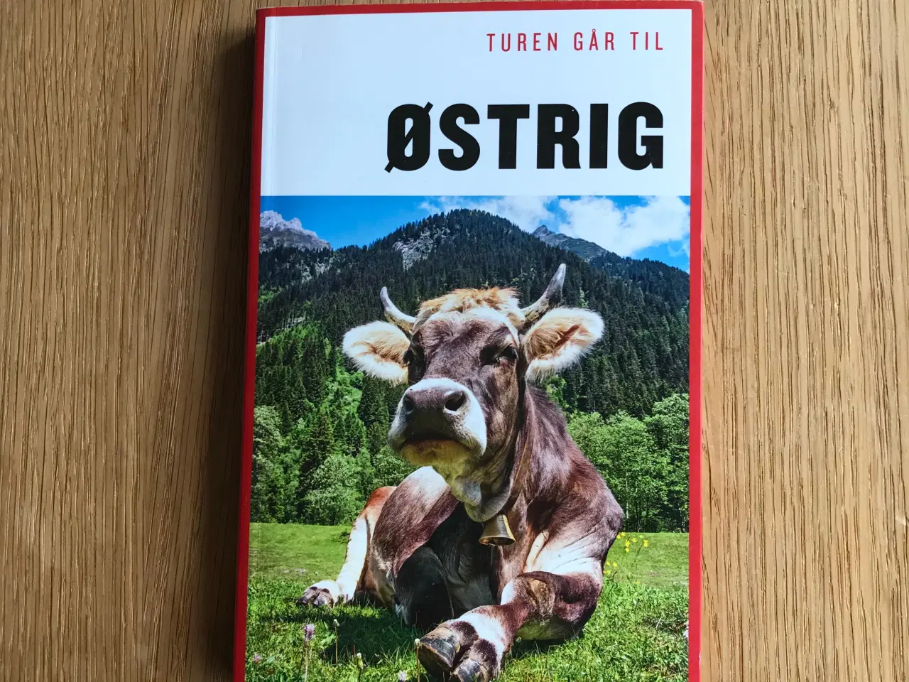 Billede 1 - Turen går til Østrig