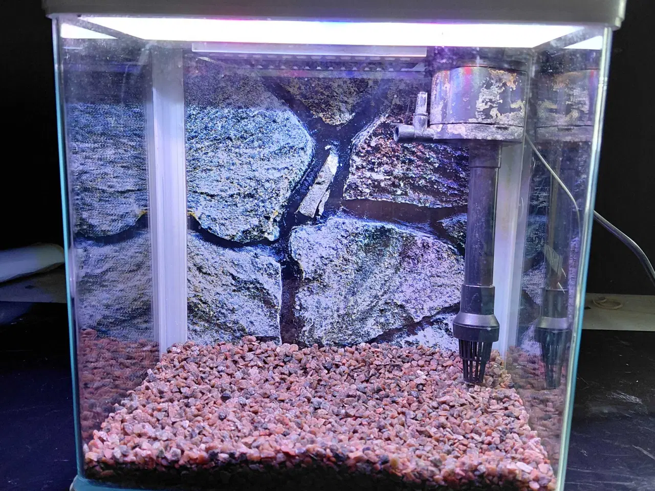 Billede 5 - Akvarier 8L 