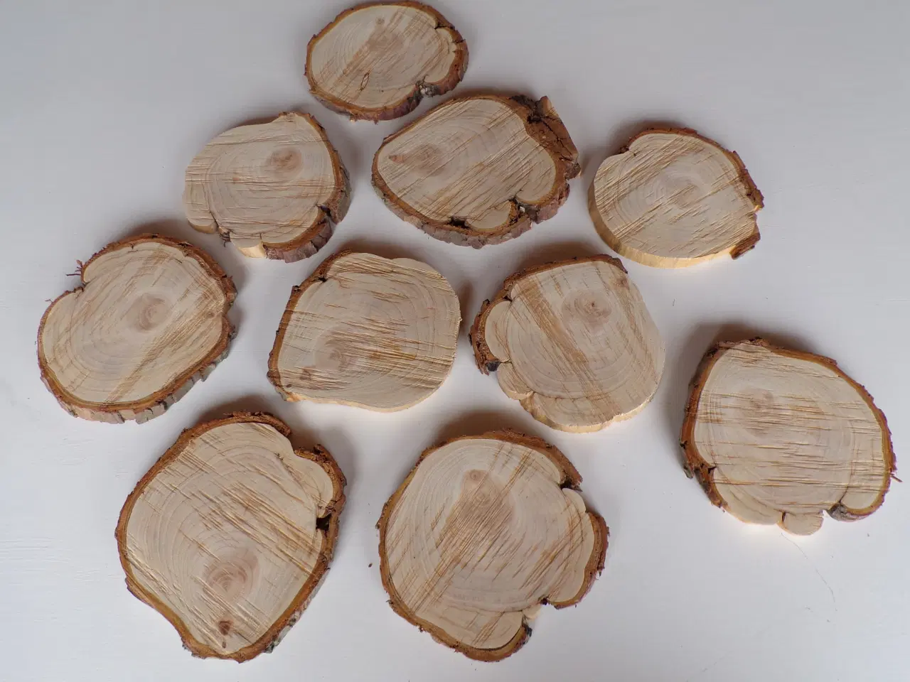 Billede 1 - 10 thuja træskiver 14 - 17,5 cm skæve faconer