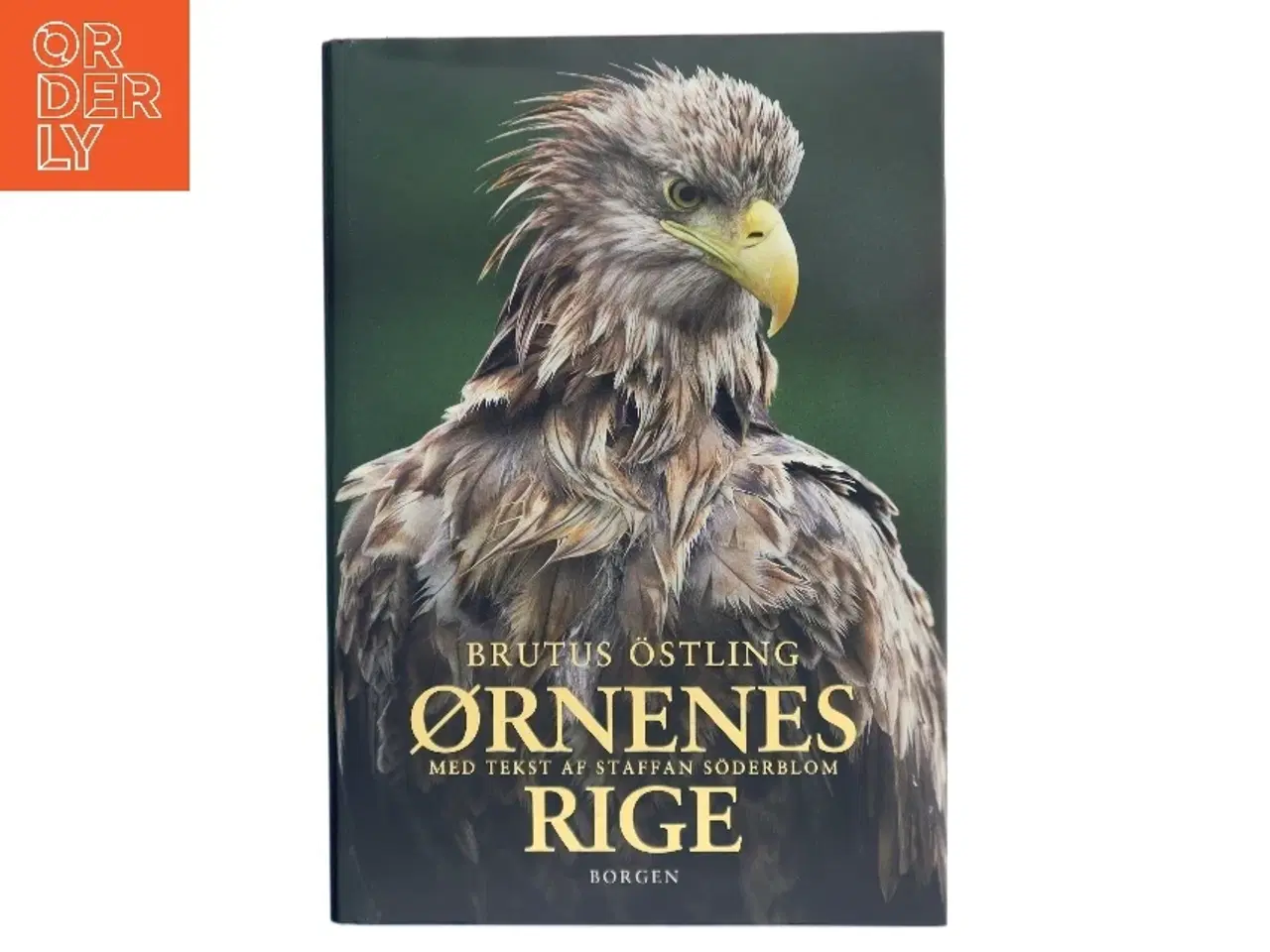 Billede 1 - Ørnenes rige (Bog)