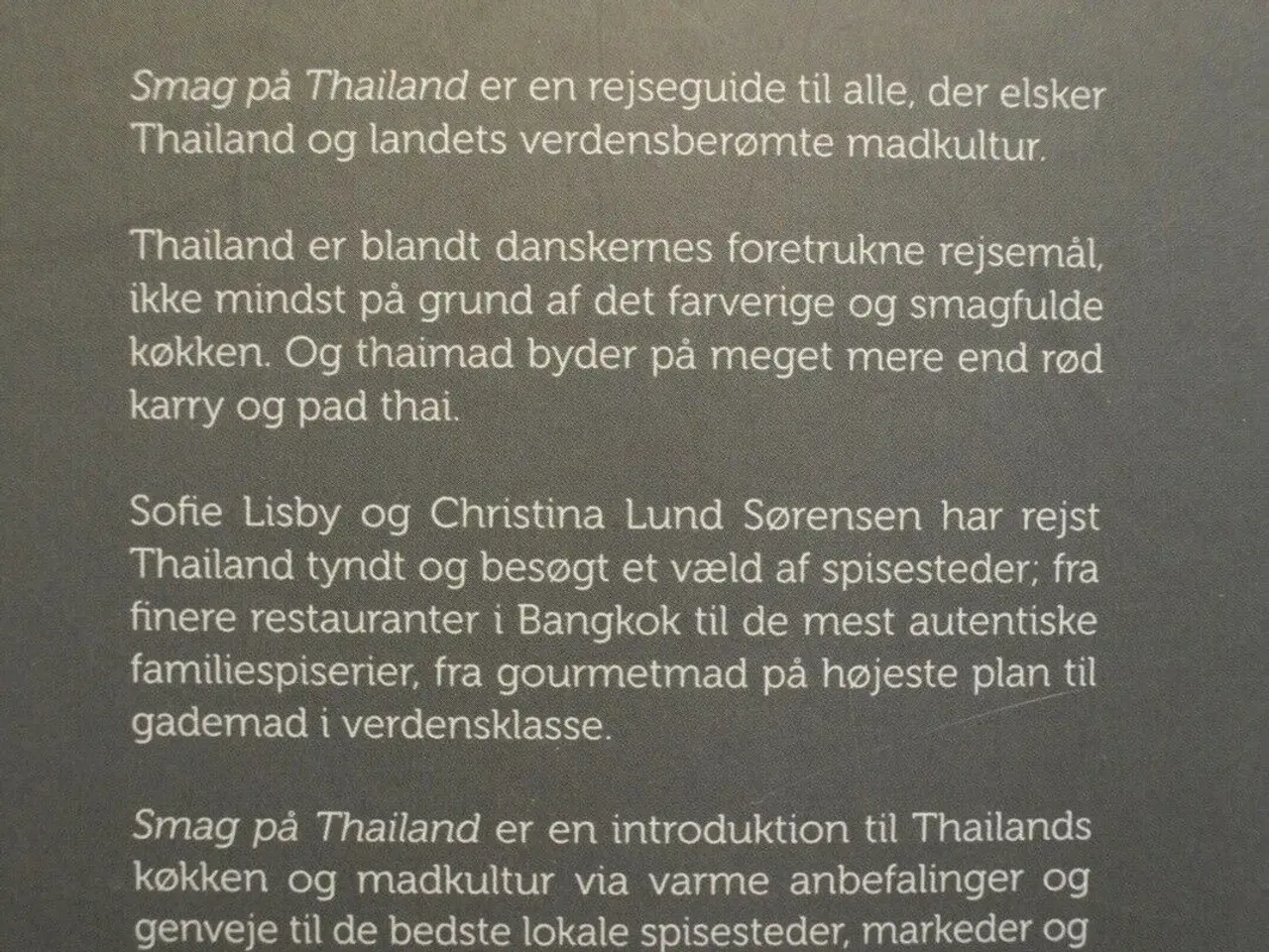 Billede 4 - smag på thailand - en rejseguide for madelskere, a