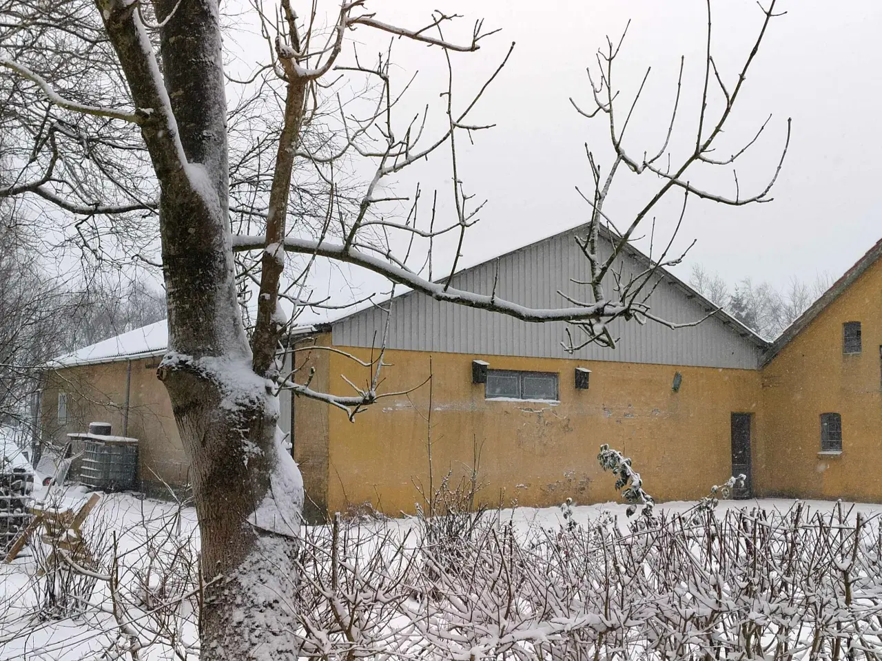 Billede 6 - Hyggelig landejendom tæt på Ansager 