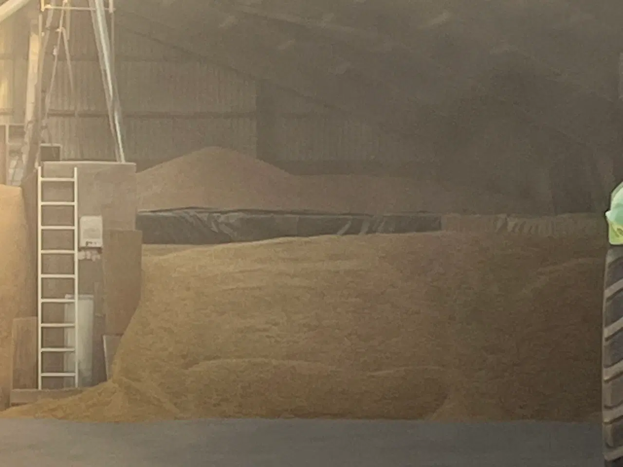 Billede 1 - Foder korn