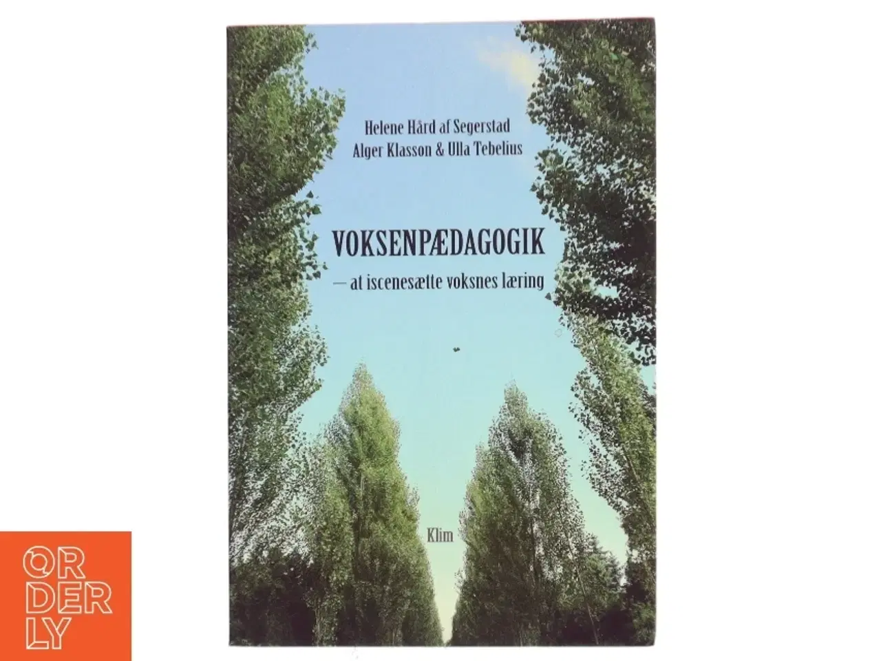 Billede 1 - Voksenpædagogik - at iscenesætte voksnes læring (Bog)
