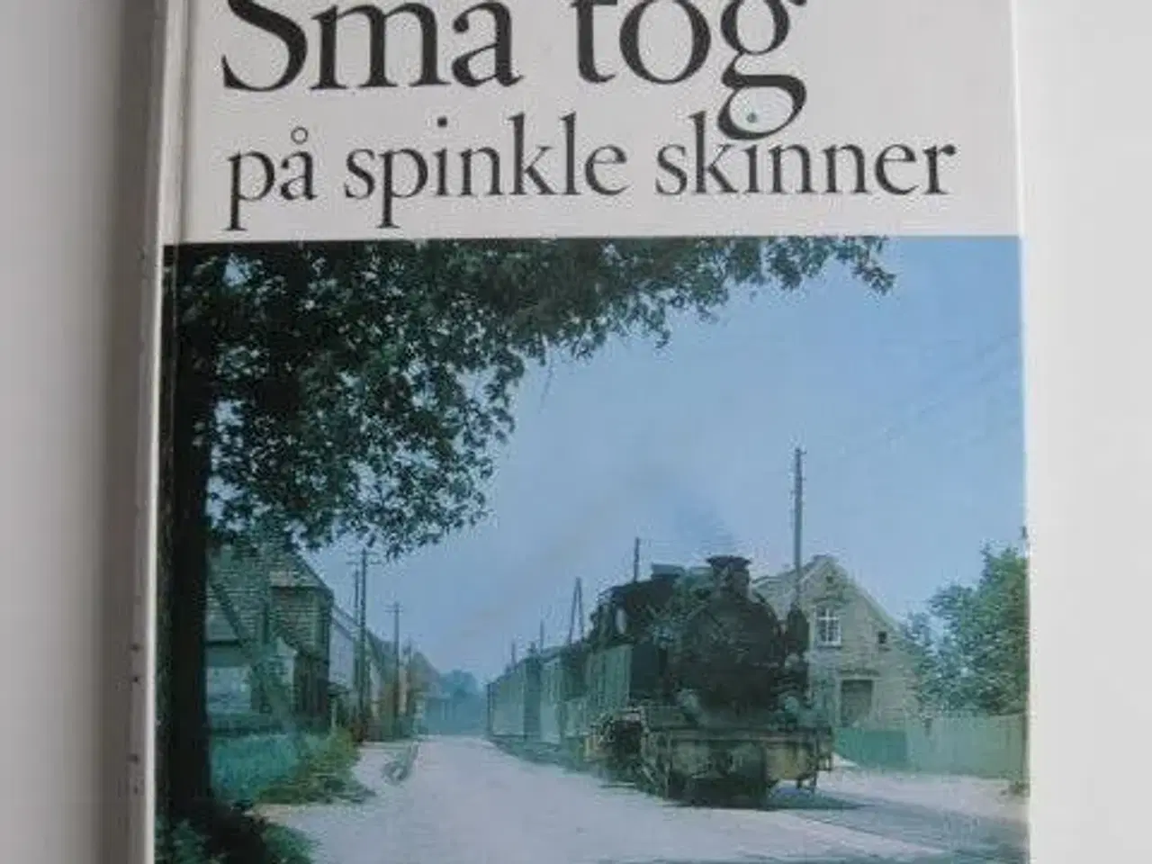 Billede 1 - Små tog på spinkle skinner