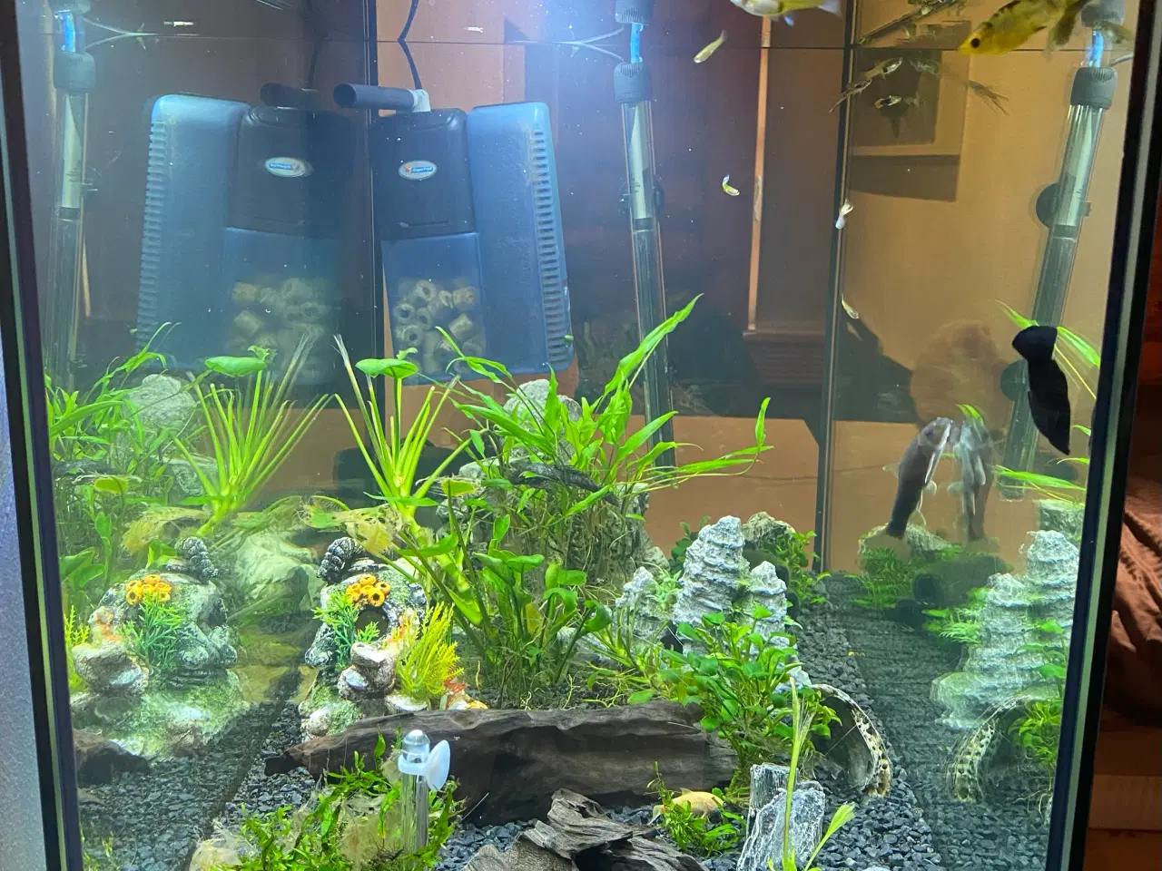 Billede 2 - Akvarie, 150 liter