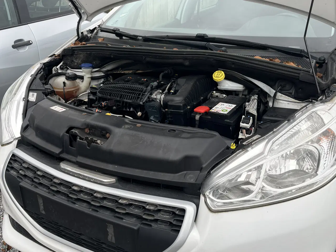 Billede 6 - Sælges Nysynet!