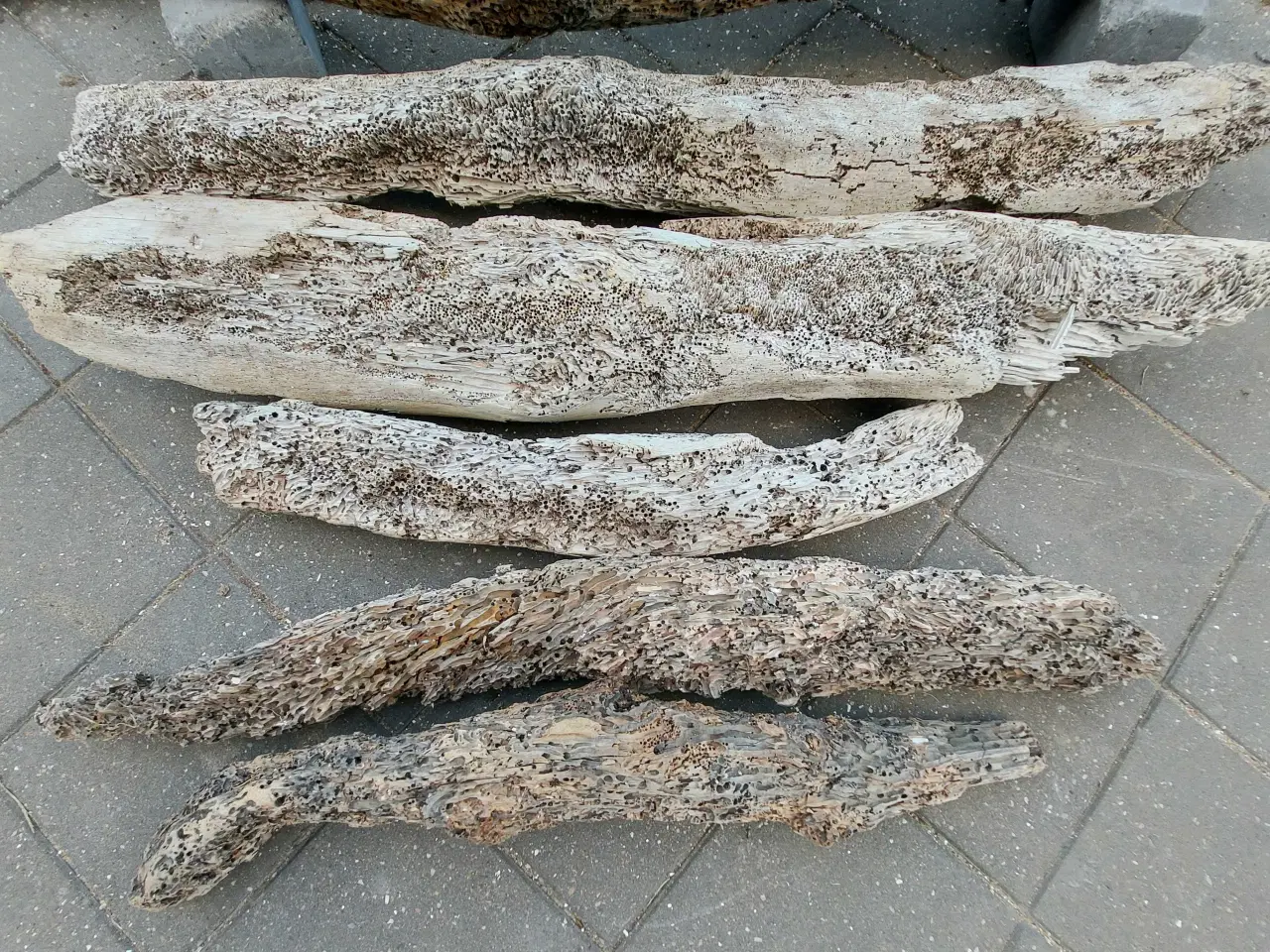 Billede 2 - Drivtømmer 