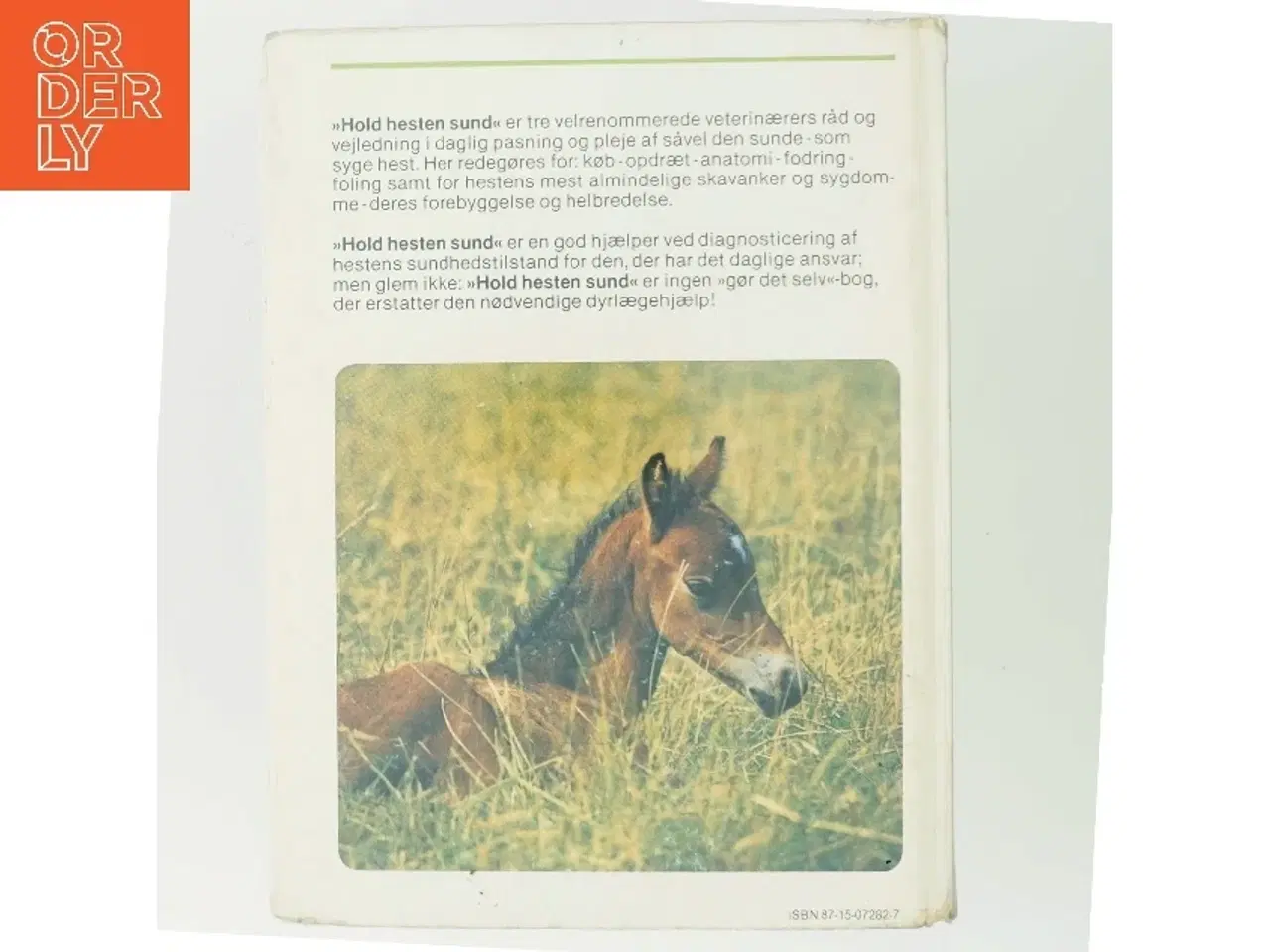 Billede 3 - Hold hesten sund af Fritz Sevelius (Bog)