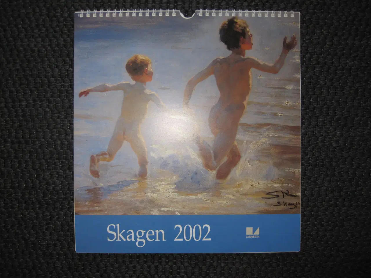 Billede 1 - Skagenskalender 