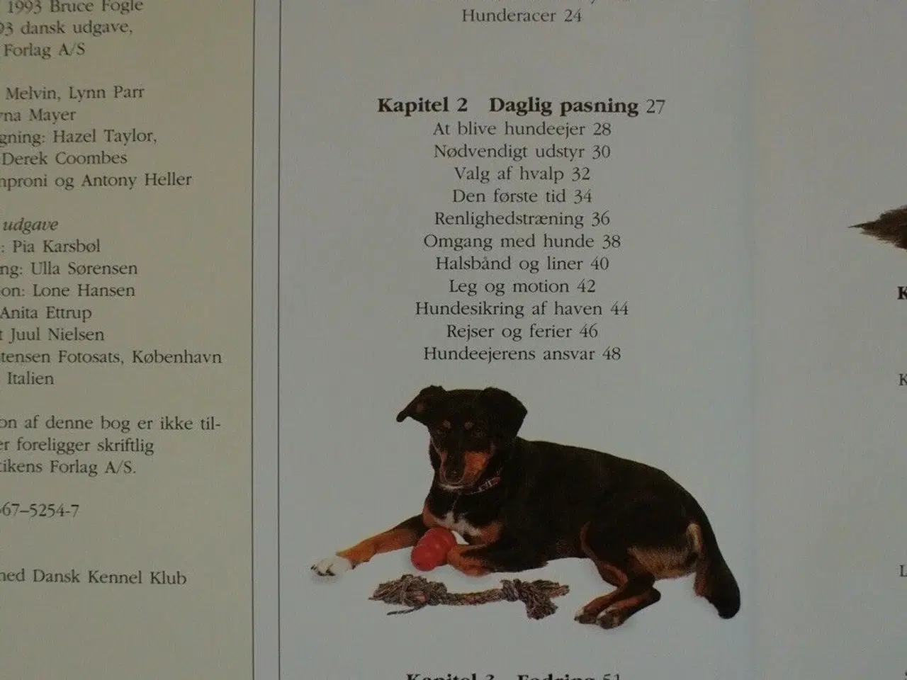 Billede 2 - hundehåndbogen - pasning, pleje, opdragelse