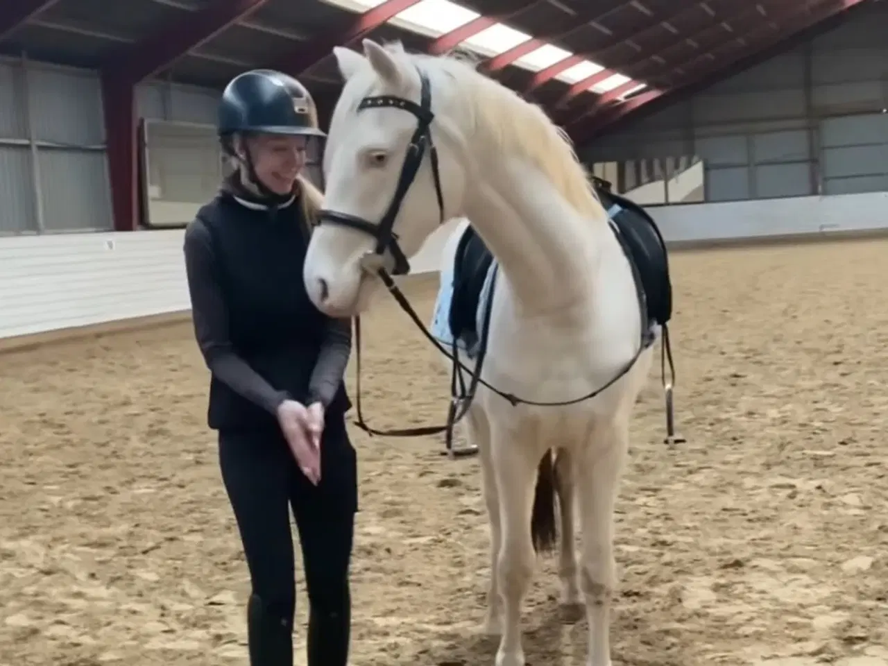 Billede 2 - Charmerende og tillidsfuld vallak søger nyt hjem.