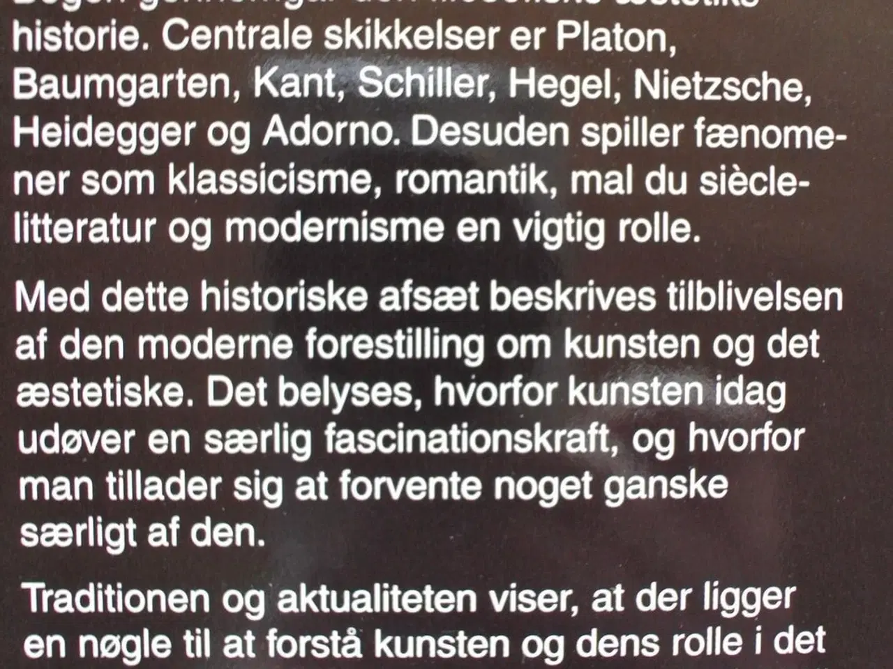 Billede 6 - filosofisk æstetik - jagten på den svigefulde sand