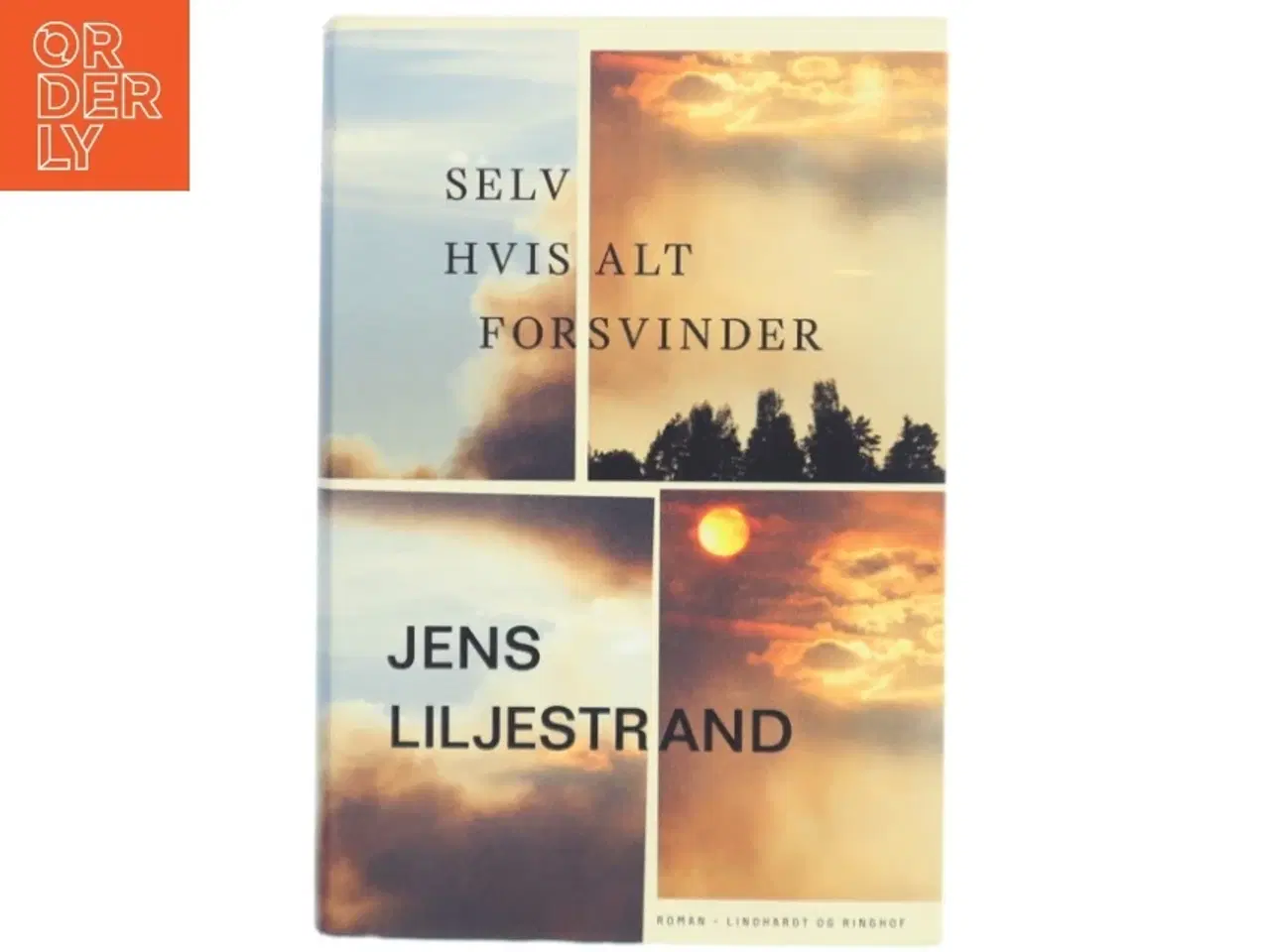 Billede 1 - Selv hvis alt forsvinder af Jens Liljestrand (f. 1974) (Bog)