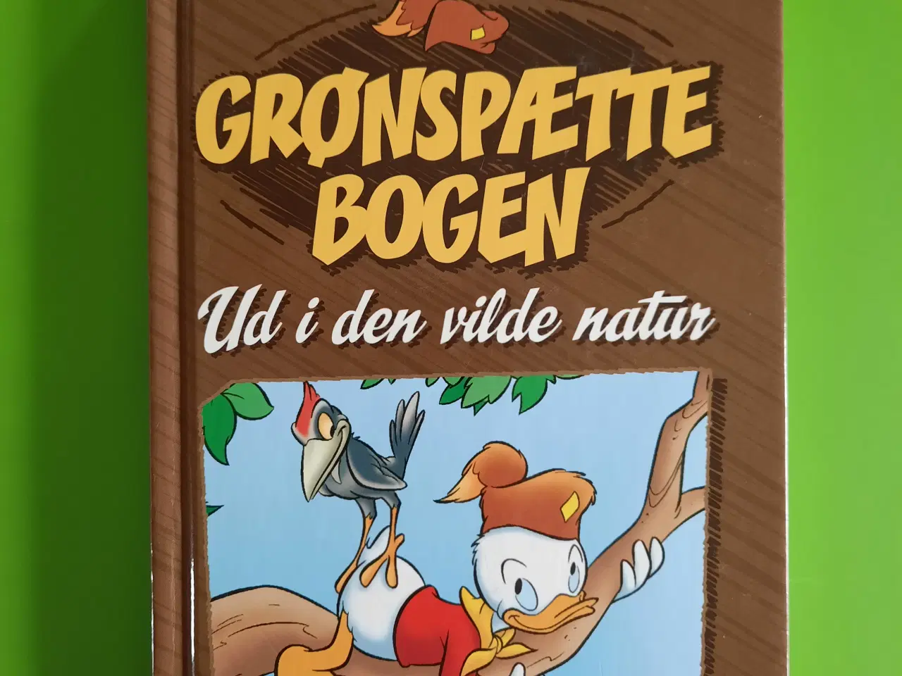 Billede 1 - Grønspætte bogen, ud i den vilde natur