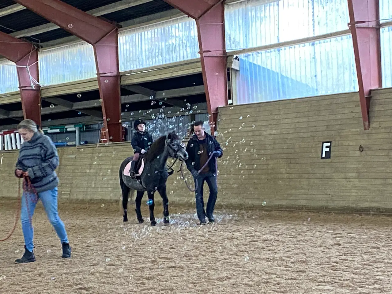 Billede 12 - Jake LF – 6 års Dartmoor vallak (ca. 126 cm)