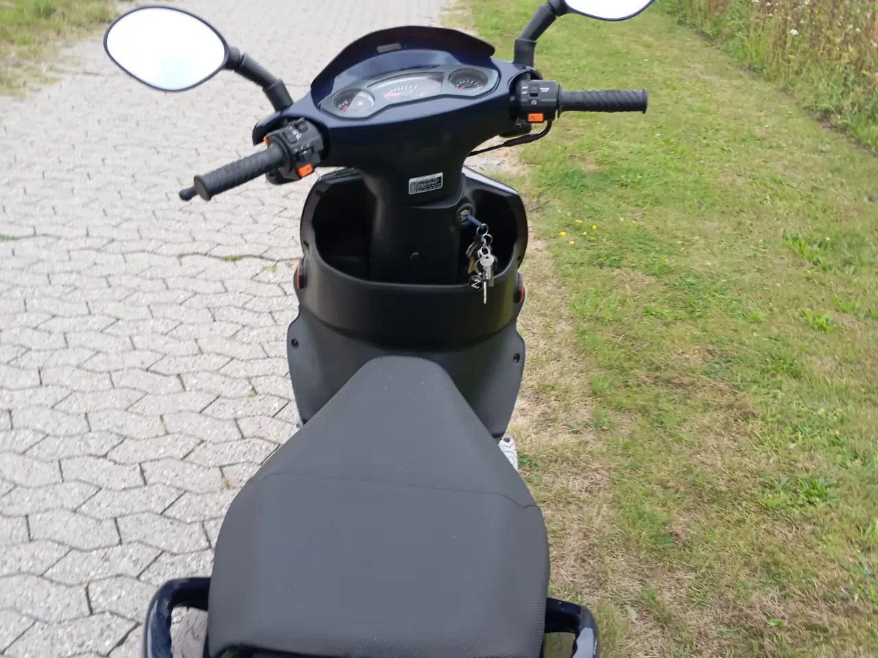 Billede 4 - Pgo T-Rex 