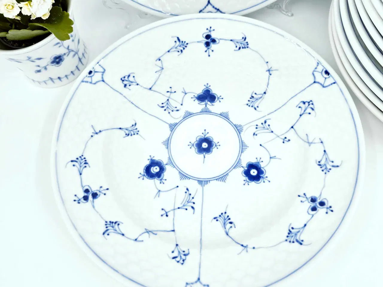 Billede 3 - B&G Musselmalet Hotelporcelæn Middagstallerken 