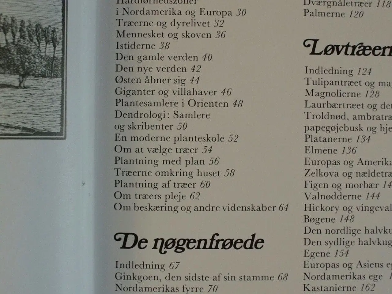 Billede 2 - træernes bog. internationalt træ-atlas, Af hugh jo