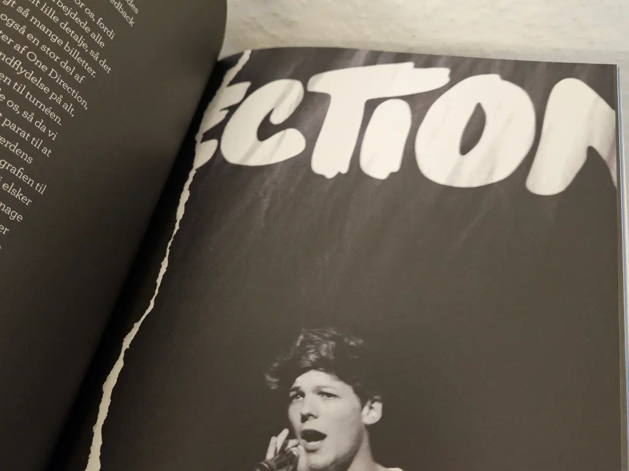 Billede 3 - Bog om One Direction 