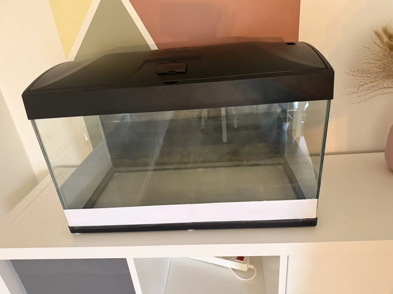 Billede 1 - Akvarie 50L