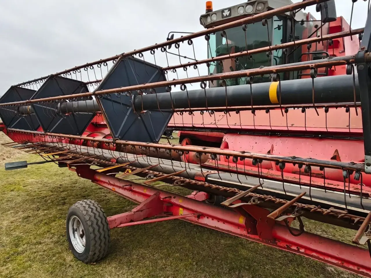 Billede 16 - Massey Ferguson MF 40