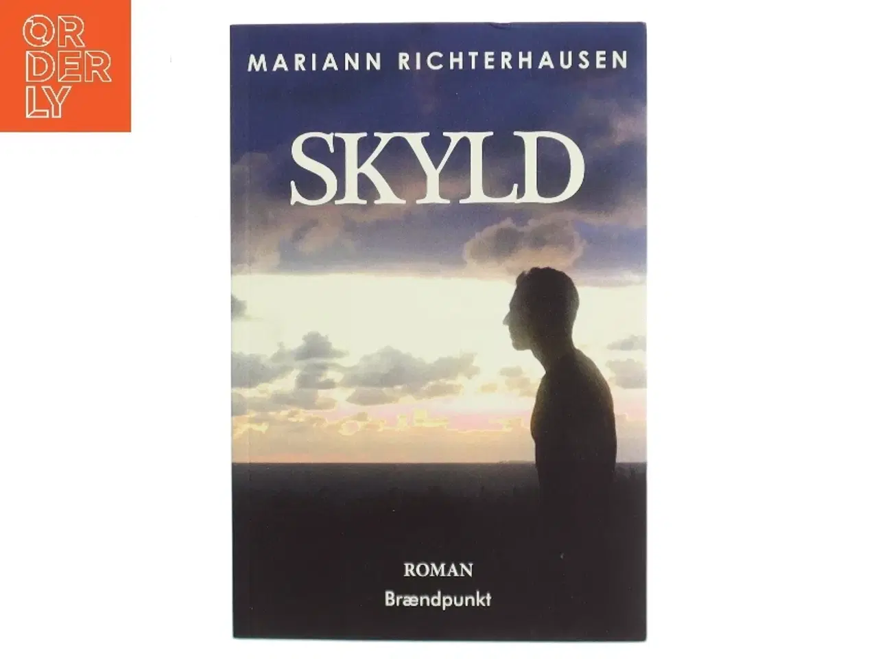 Billede 1 - Skyld : roman af Mariann Richterhausen (f. 1980) (Bog)