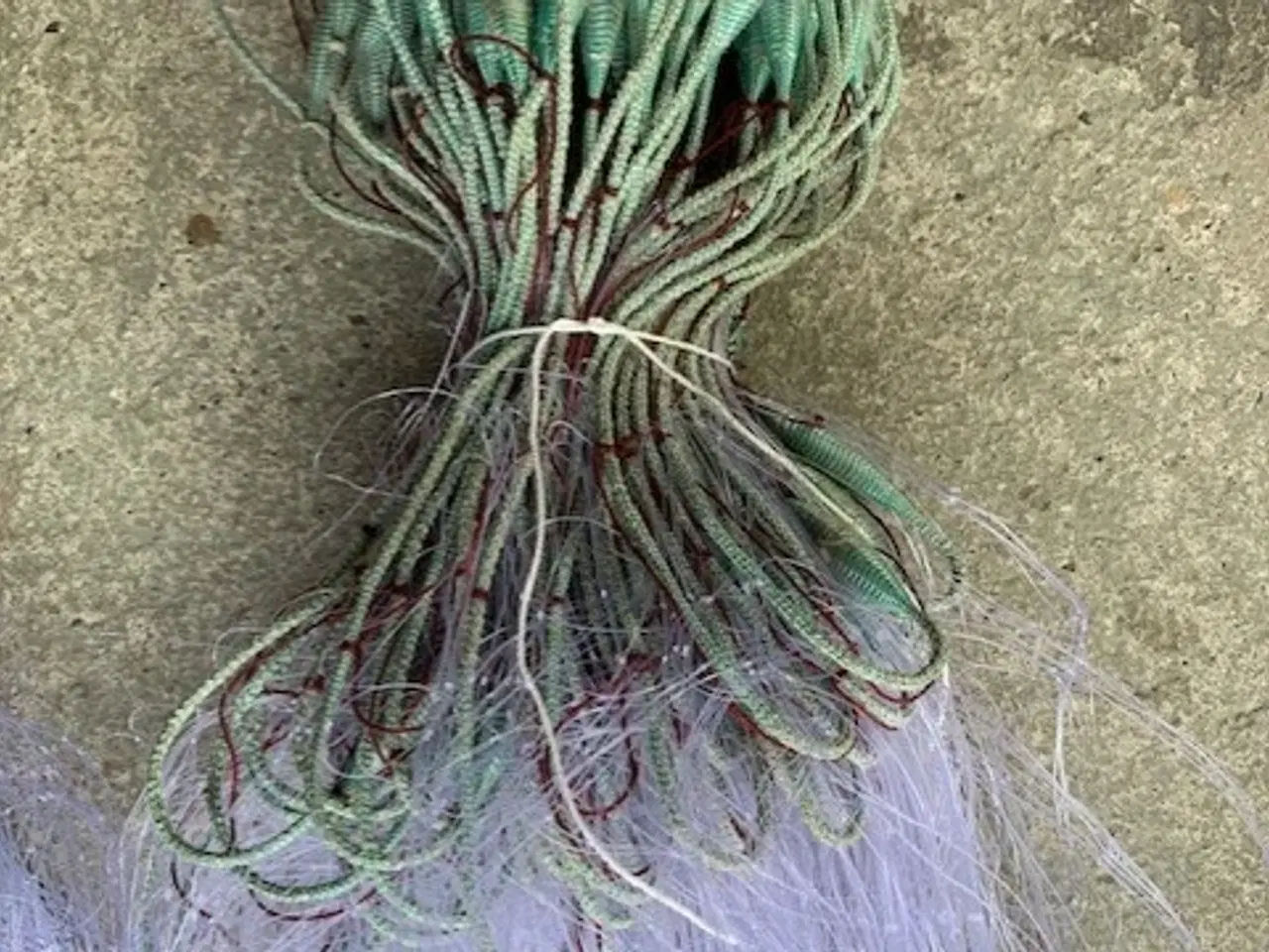 Billede 4 - 100 % Håndsyede Rødspætte - Skrubbe og Pighvar.