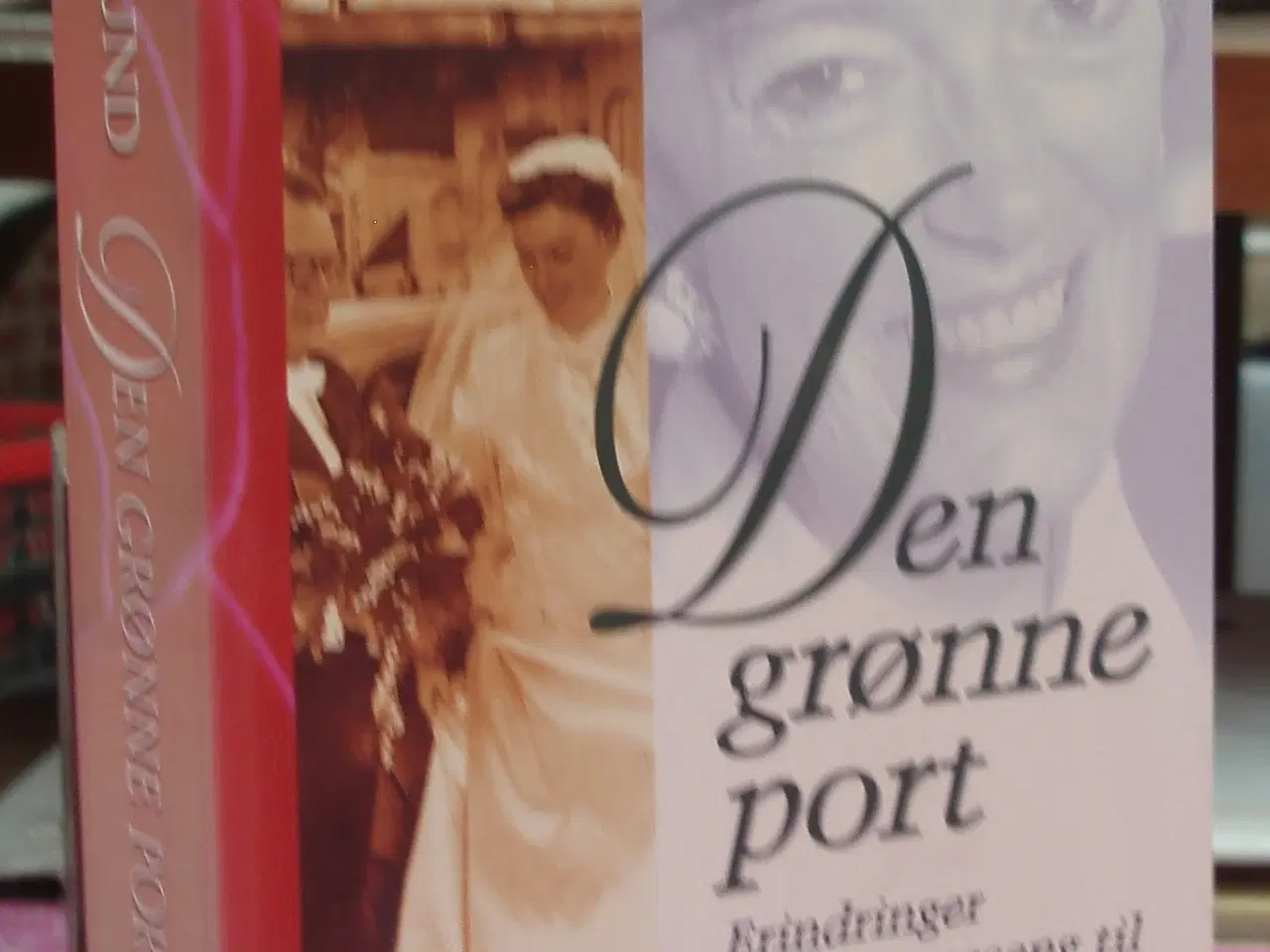 Billede 1 - Den grønne port af Jane Aamund