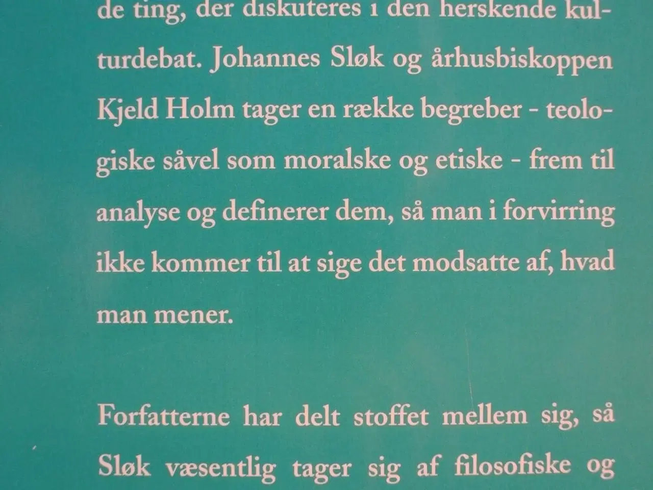 Billede 3 - begrebsforvirring af johannes sløk og kjeld holm