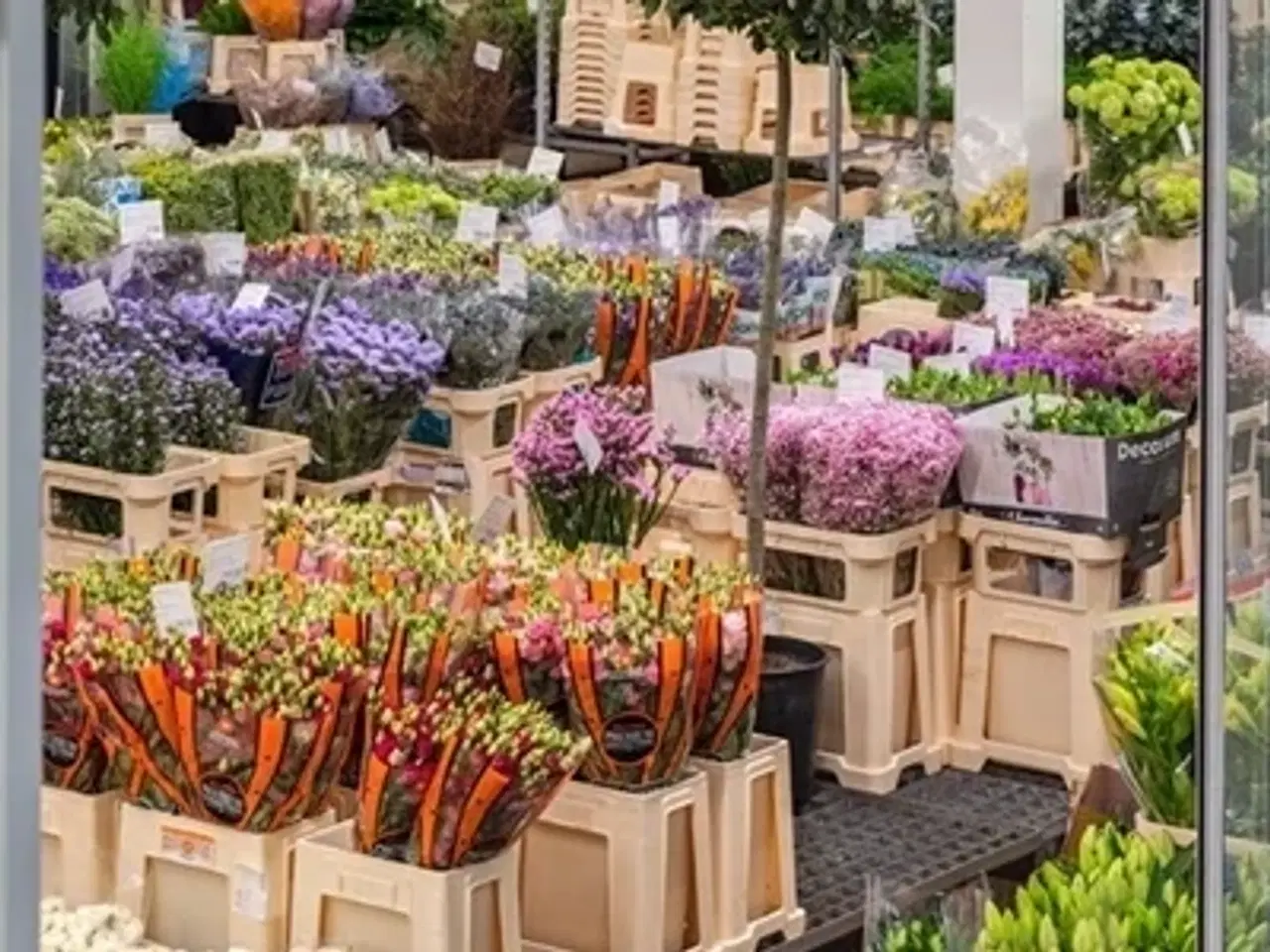 Billede 1 - Der er mange grunde til at sælge dine råvarer på Copenhagen Markets. Heraf kan nævnes: Du kan sælge mere Du kan s...